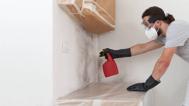 Attic Mold Remediation treatment on roof deck in Malvern